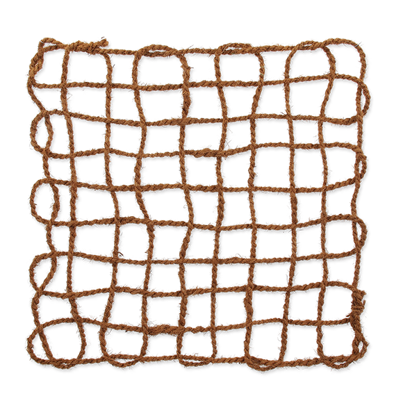 Coco Net