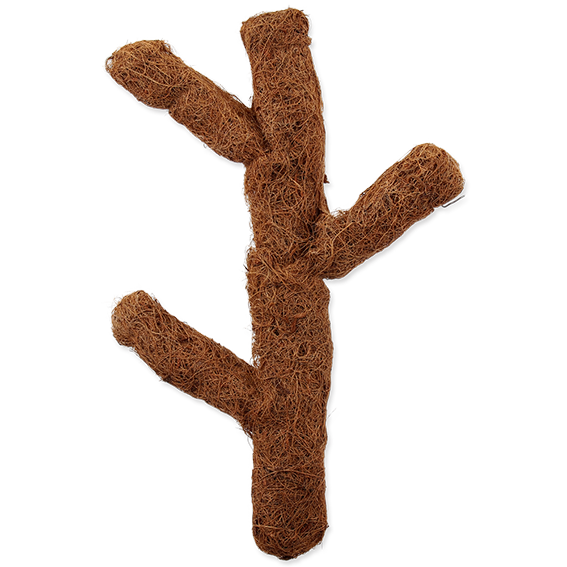 Coco Troncho