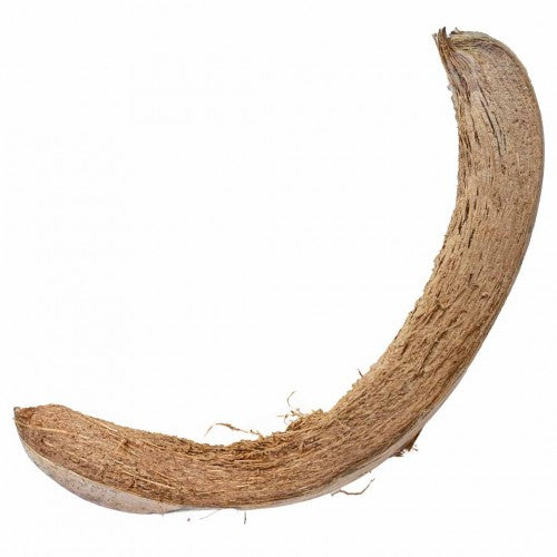 Coconut Husk Slices – Natürliche Kokosstücke für Beschäftigung & Foraging