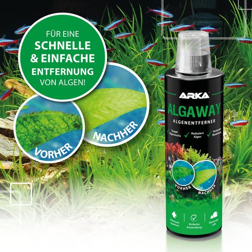 Algaway
