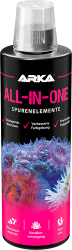 All-in-One