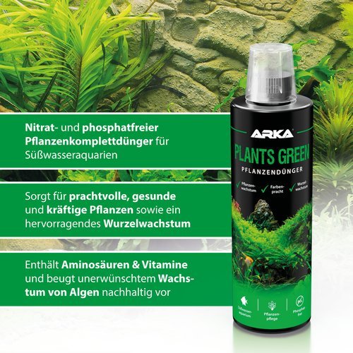 Plants Green