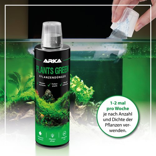 Plants Green