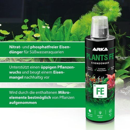 Plants FE