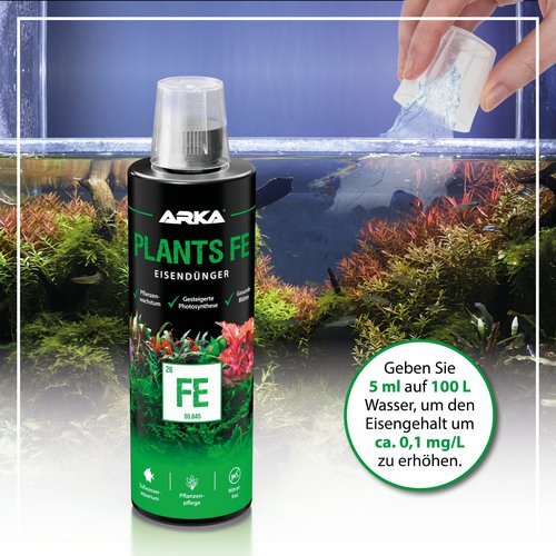 Plants FE