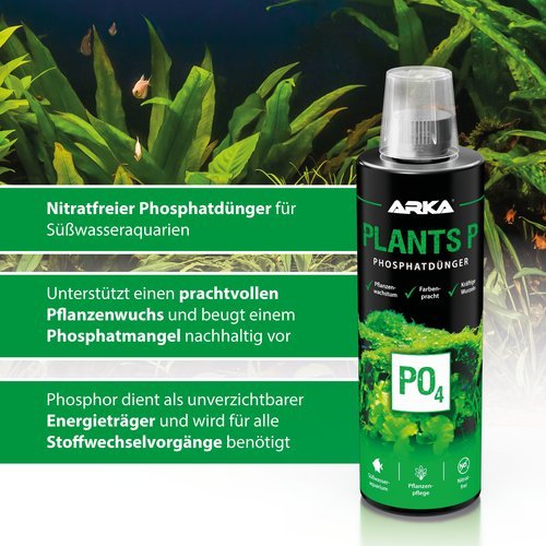 Plants P