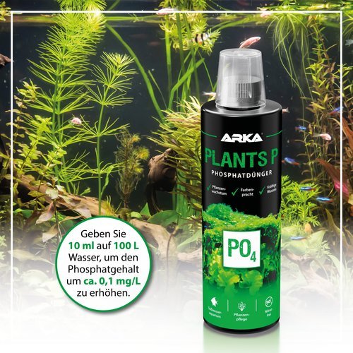 Plants P