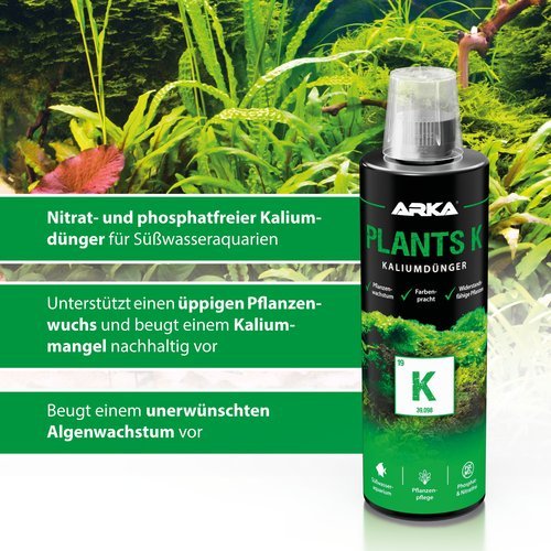 Plants K