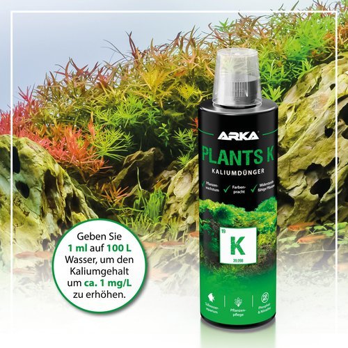 Plants K