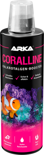 CORALLINE - Kalkrotalgen+