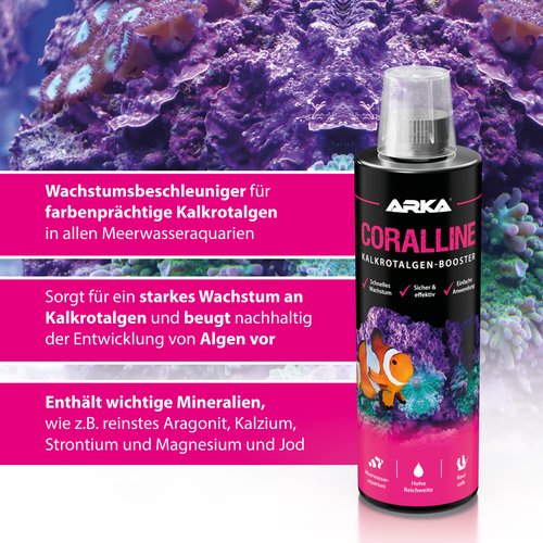 CORALLINE - Kalkrotalgen+
