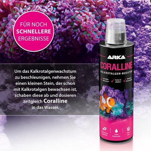 CORALLINE - Kalkrotalgen+