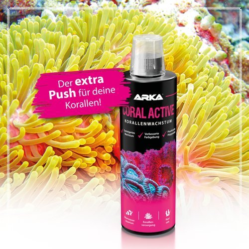 Coral Active