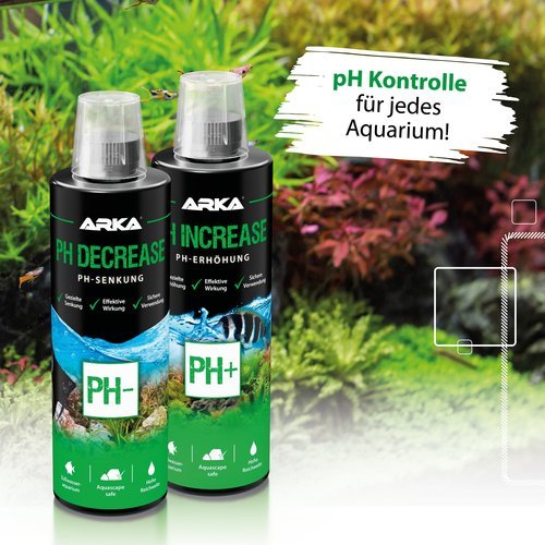pH Decrease