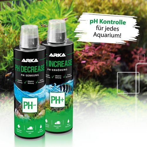 pH Increase
