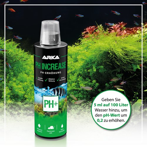 pH Increase