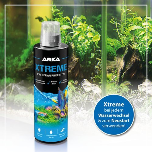 XTreme