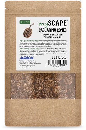 mySCAPE-Casuarina Cones