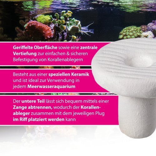 myREEF Plug Korallenhalterung