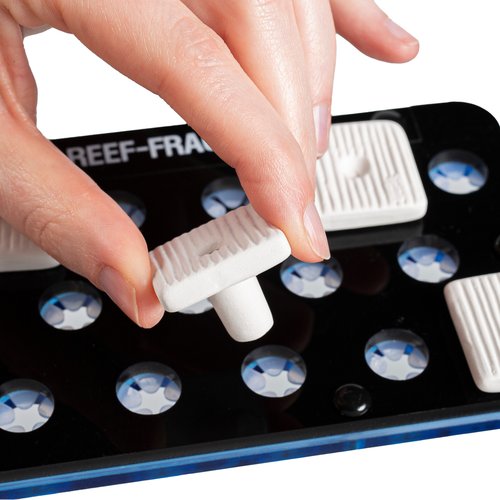 myREEF Plug Korallenhalterung