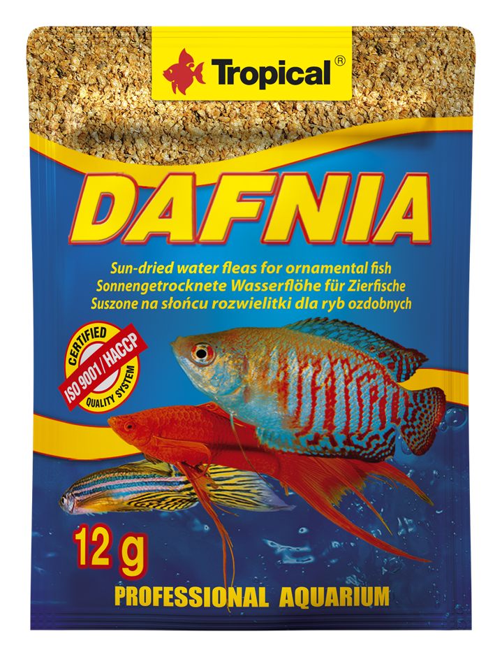 Dafnia