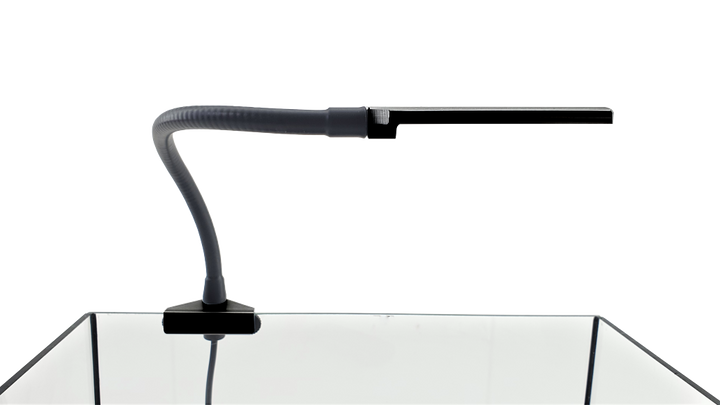 cobra black SunLike Color