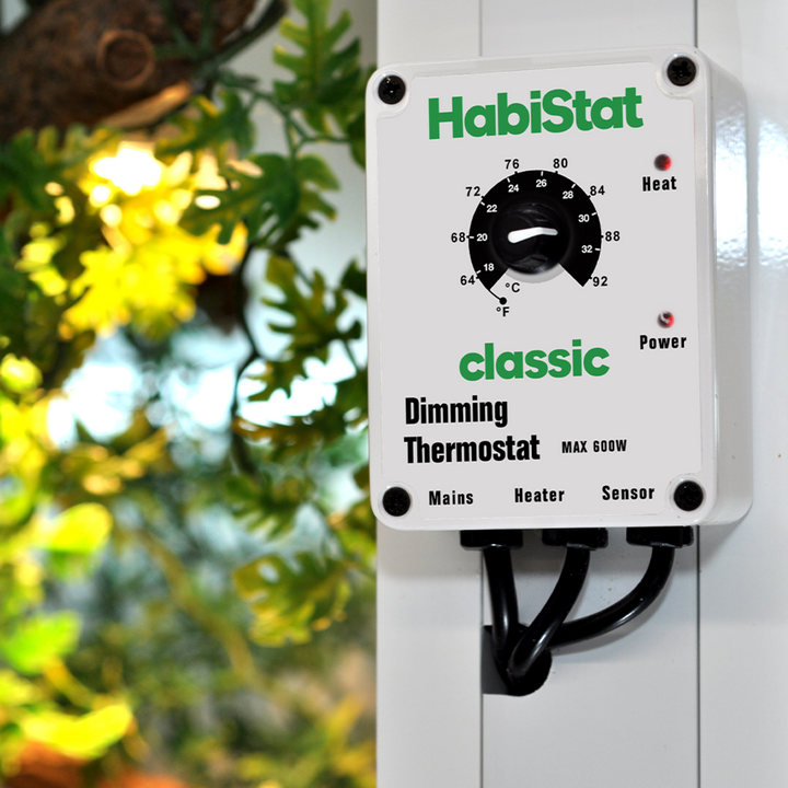 Dimming Thermostat