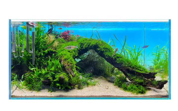 Lighting Panel Backlight