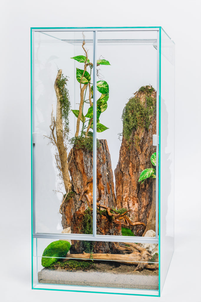 Hochterrarium