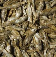 Dried Fish von Tropical