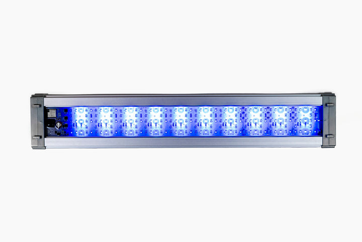 LED Aqua