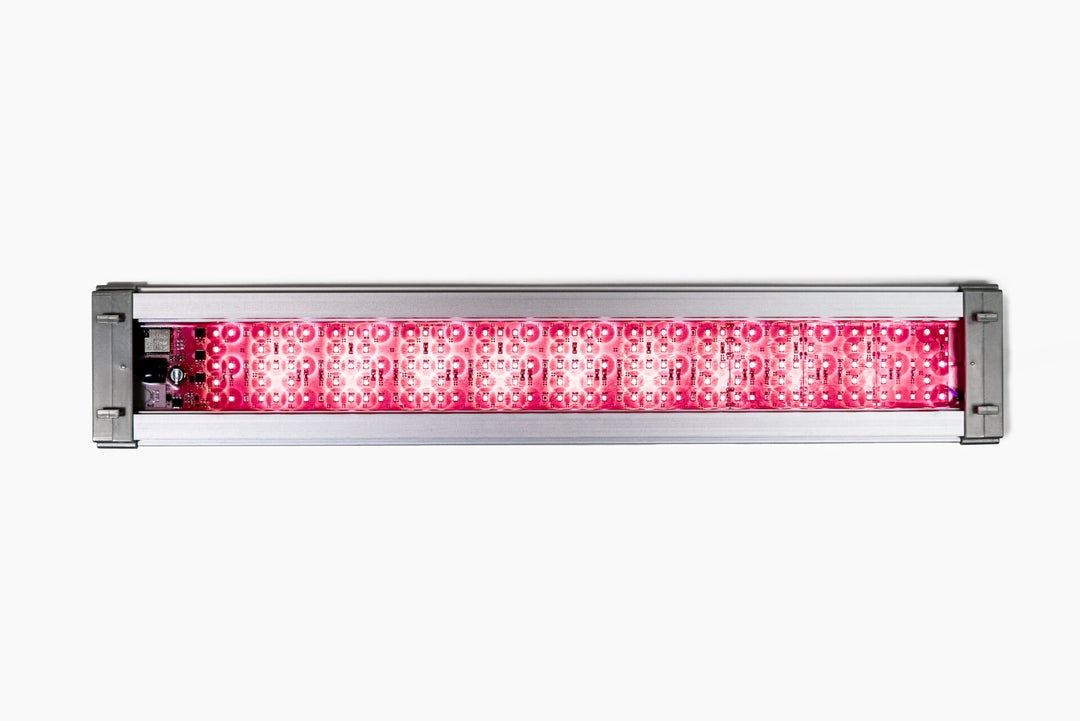 LED Aqua