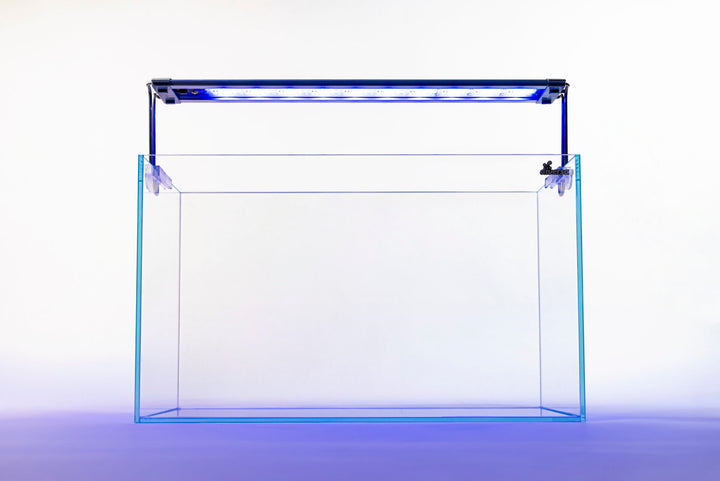 LED Aqua