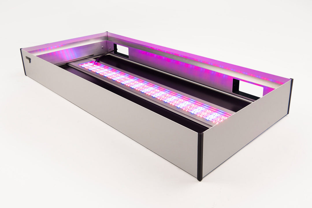 LED Alex Color