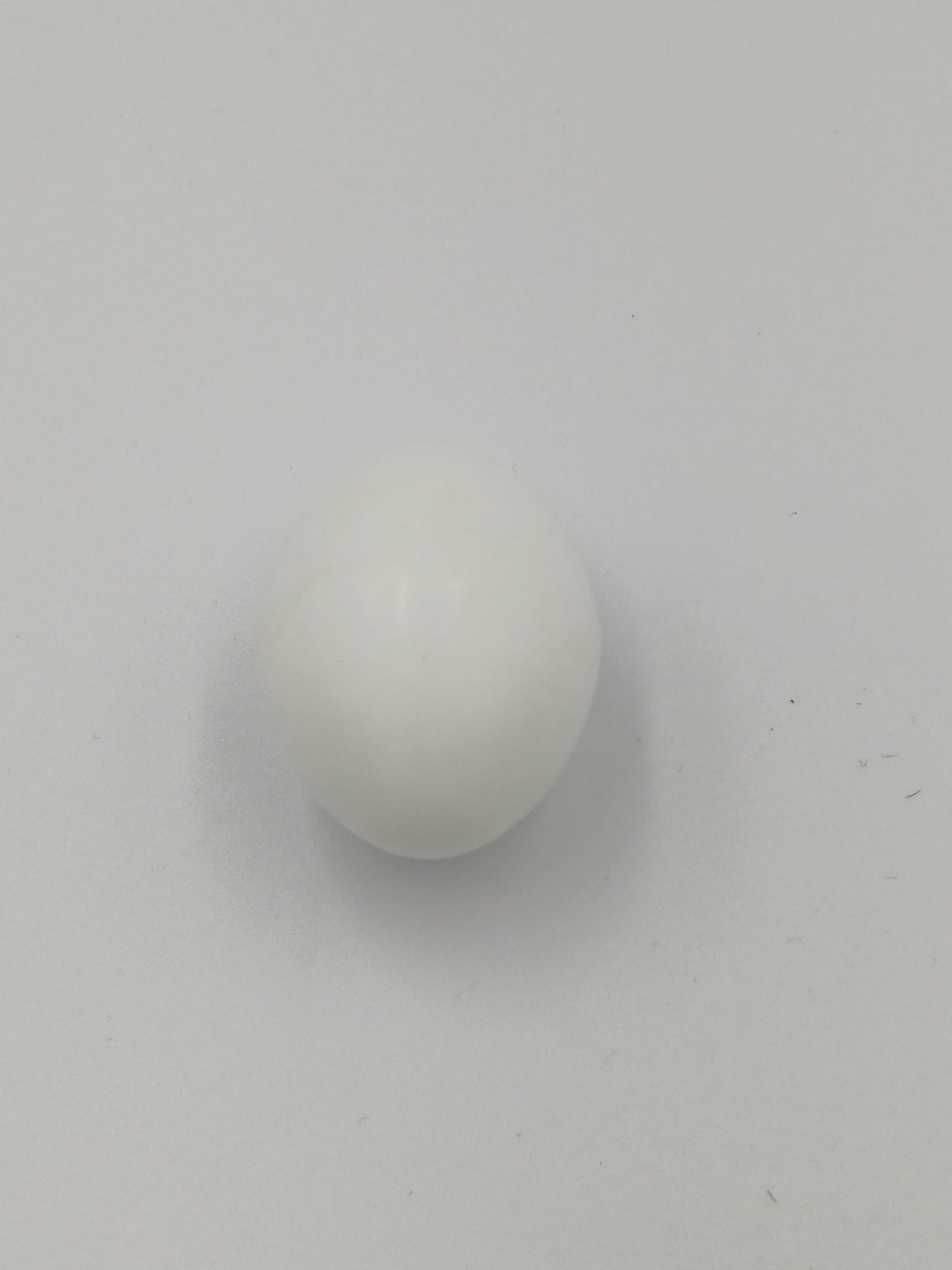 Künstliche Eier - Nesteier- Kunsteier - Eier