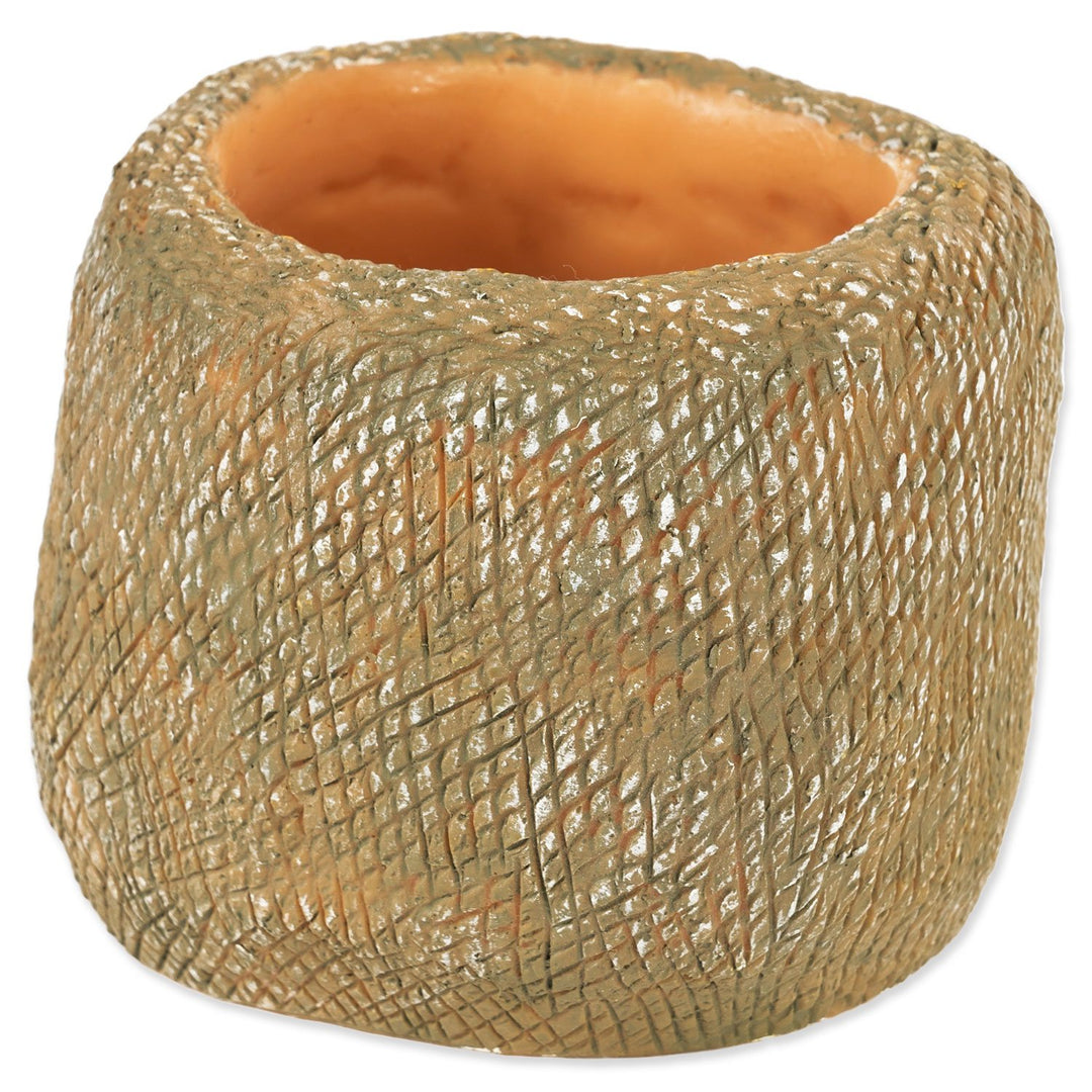 Snake Water Dish