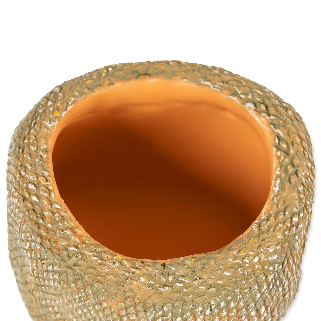 Snake Water Dish