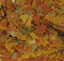 Goldfish Color Flakes