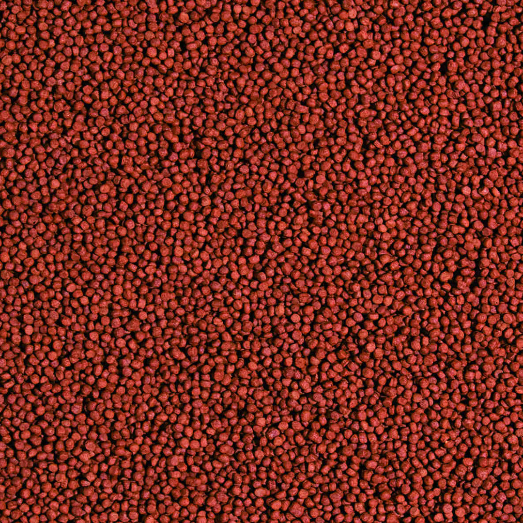 Goldfish Colour Pellet