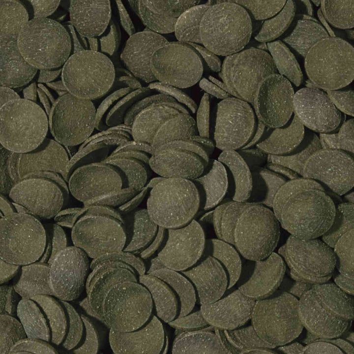Green Algae Wafers