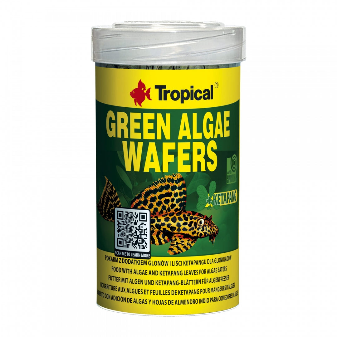 Green Algae Wafers