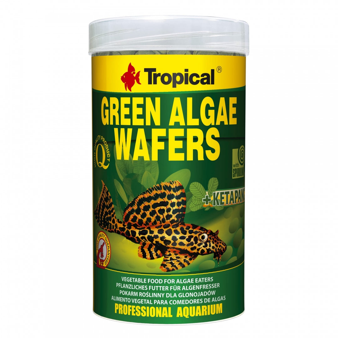 Green Algae Wafers