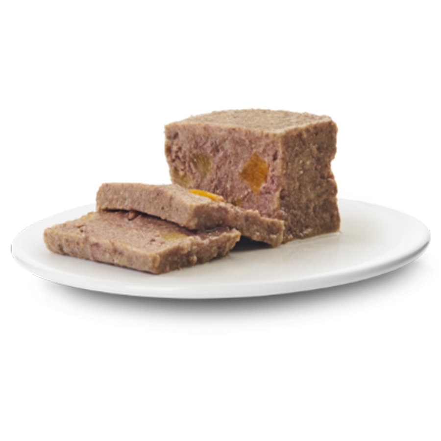 ADULT - PASTETE IBERISCHES SCHWEIN MIT PUTE & KÜRBIS