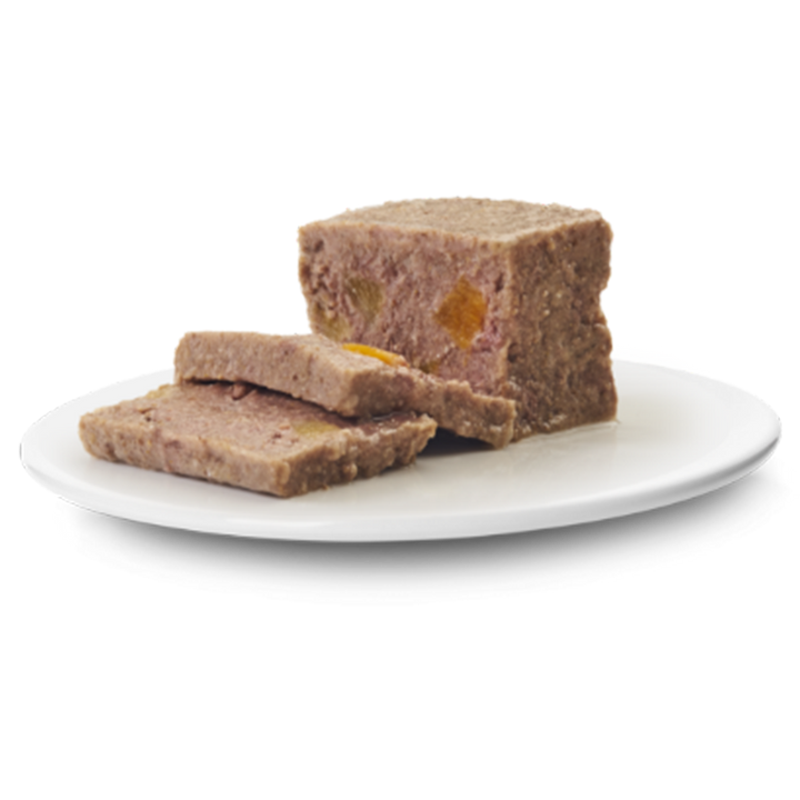 ADULT - PASTETE IBERISCHES SCHWEIN MIT PUTE & KÜRBIS