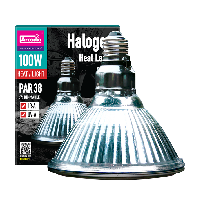 Halogen Heat Lamp