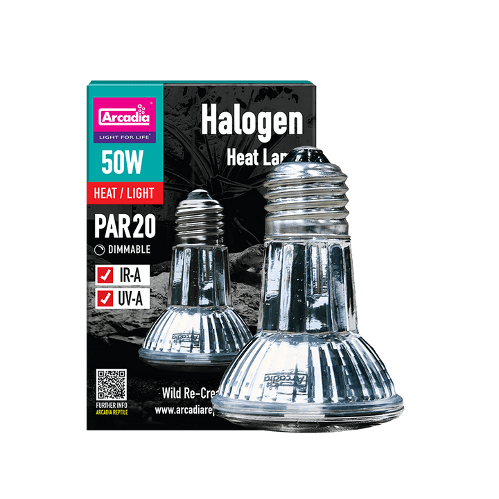 Halogen Heat Lamp