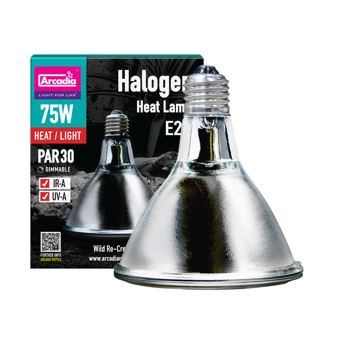 Halogen Heat Lamp