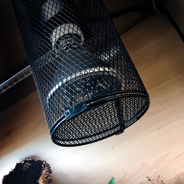 Heat Lamp Cage