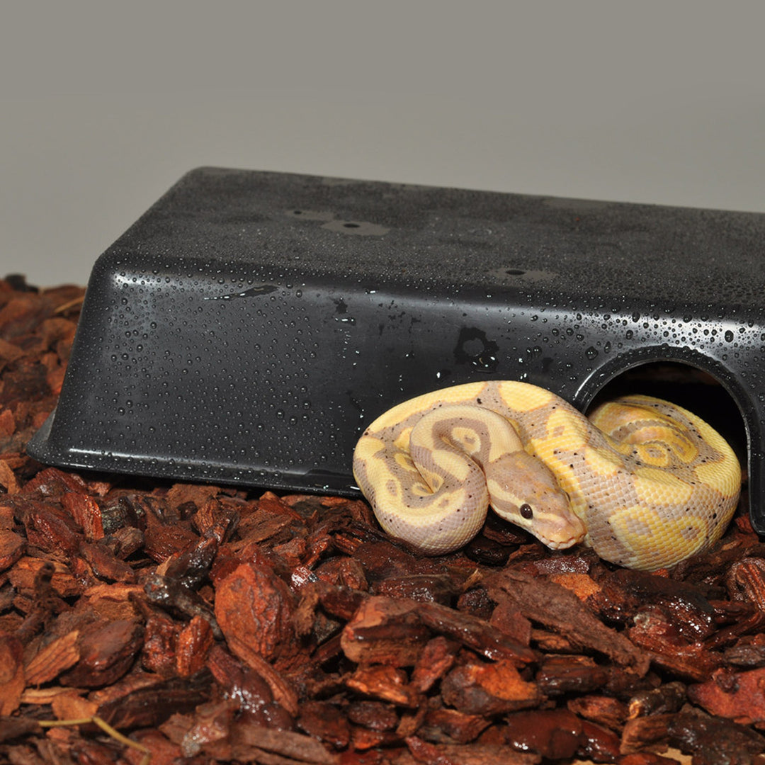 Plastic Hide