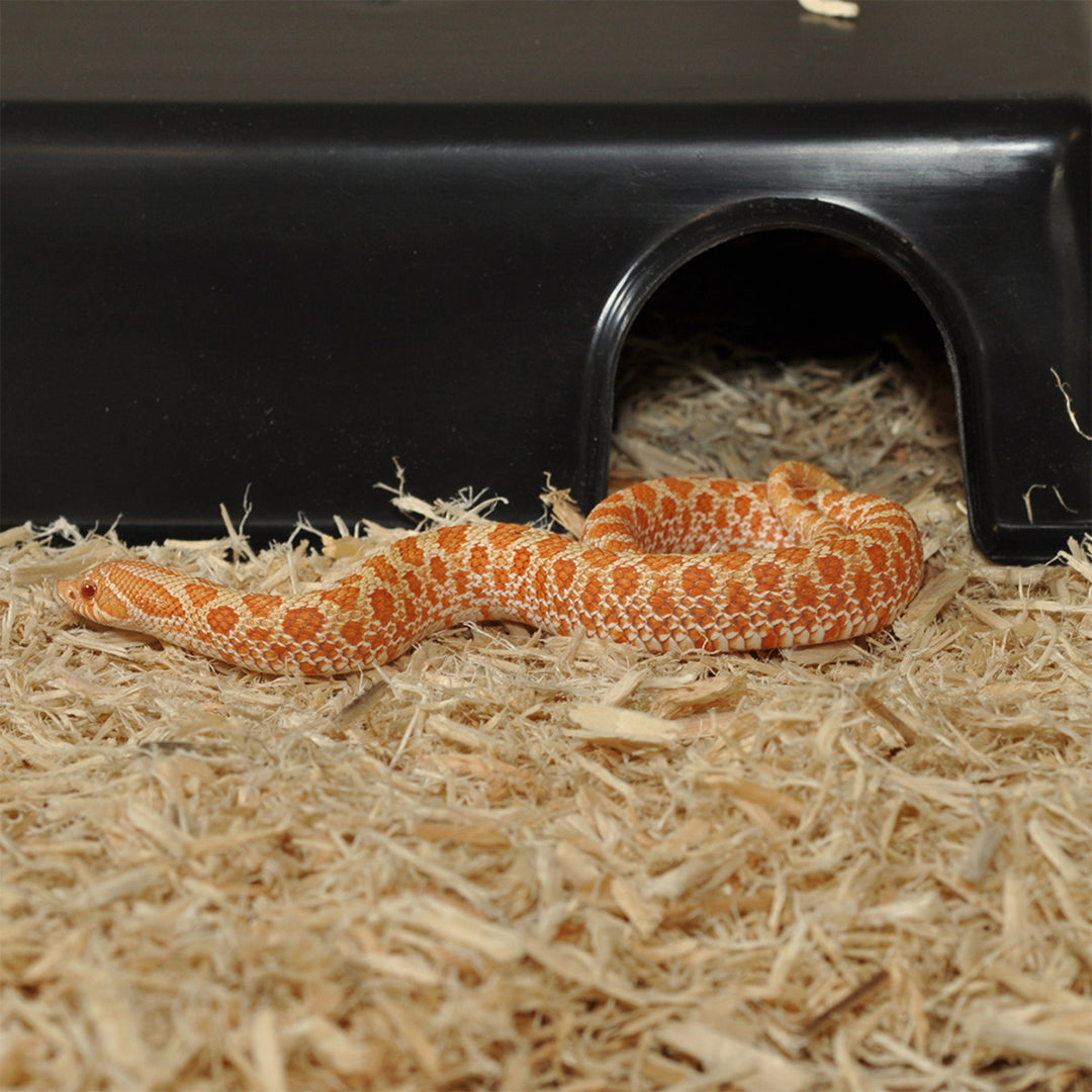 Plastic Hide